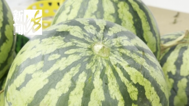 水果也分"公母" ？颜值越高越甜？一文读懂