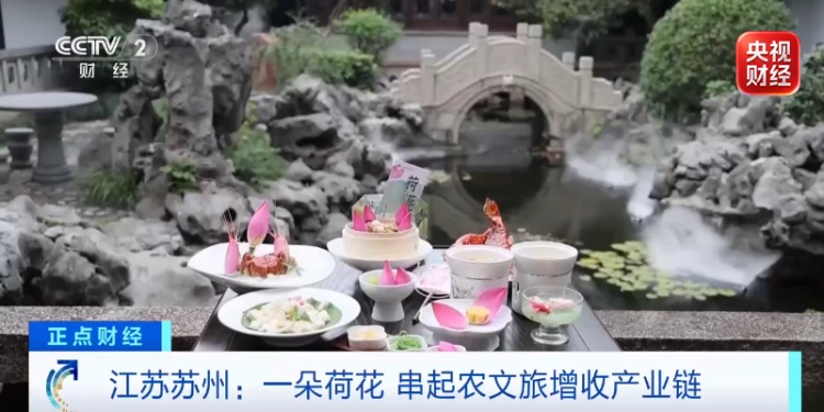 出摊10分钟，抢购一空！为“荷”这么火？
