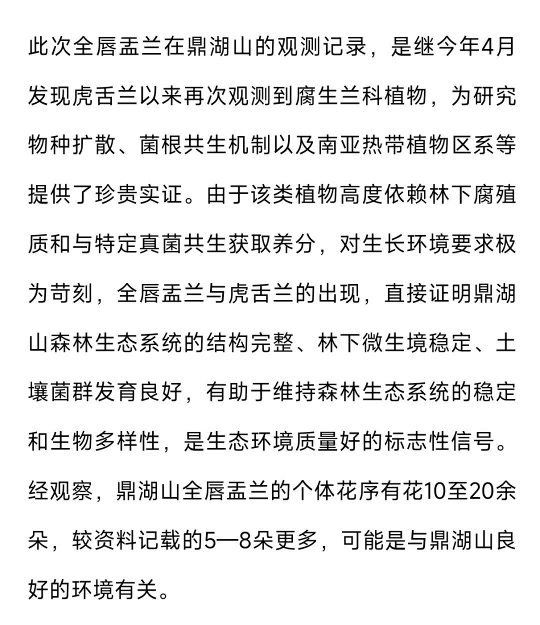 刷新广东物种记录，鼎湖山首次发现全唇盂兰