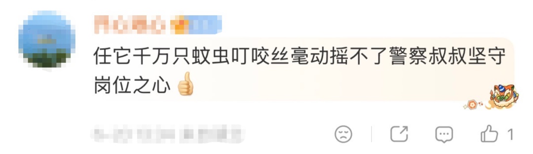 执勤时全身爬满蚊虫！网友：太心疼了