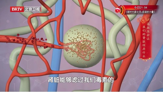 肾好不好，只要一个动作就知道，还有3个“护肾法宝”，赶紧学起来