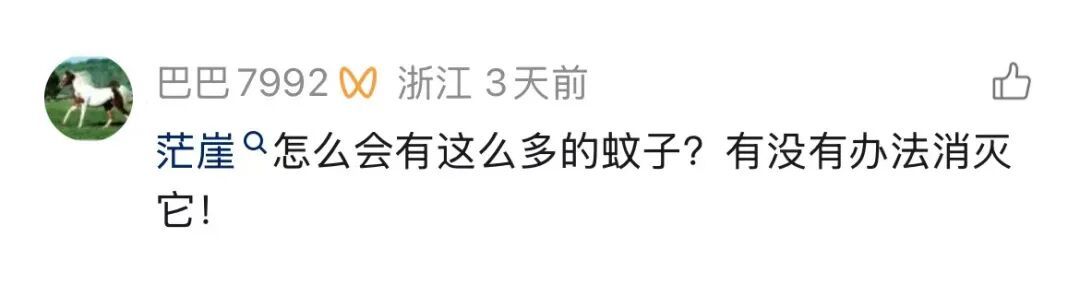 全网刷屏！身陷青海茫崖“蚊海”仍屹立不倒，这抹藏蓝背后的故事暖哭了