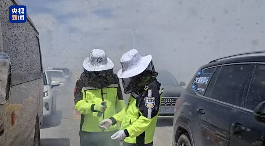 执勤时全身爬满蚊虫！网友：太心疼了
