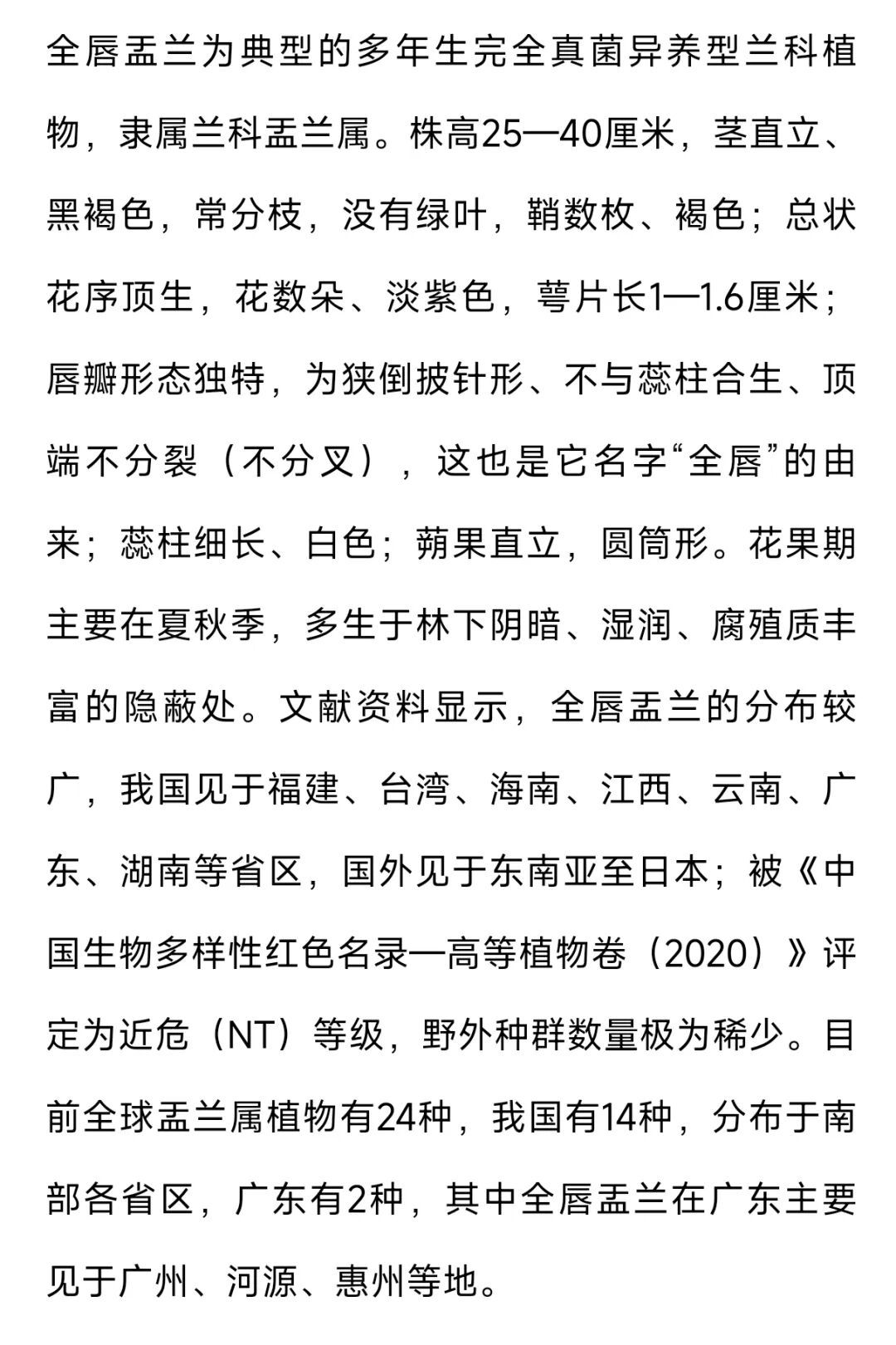 刷新广东物种记录，鼎湖山首次发现全唇盂兰