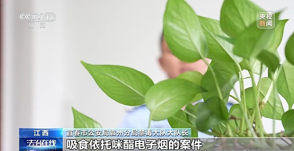 法治在线丨非法添加兽用麻醉剂让吸食者上瘾 警惕“上头电子烟”