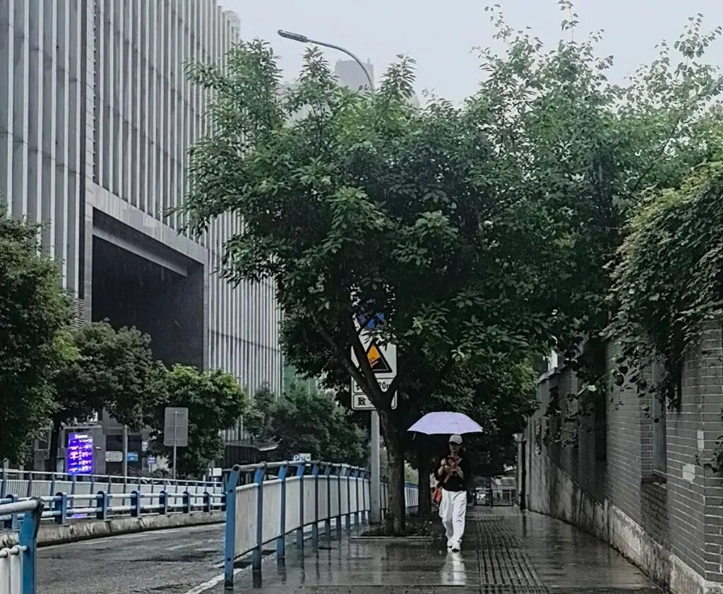 重庆今年六月为何阴雨连绵、湿度加大？气象专家解答