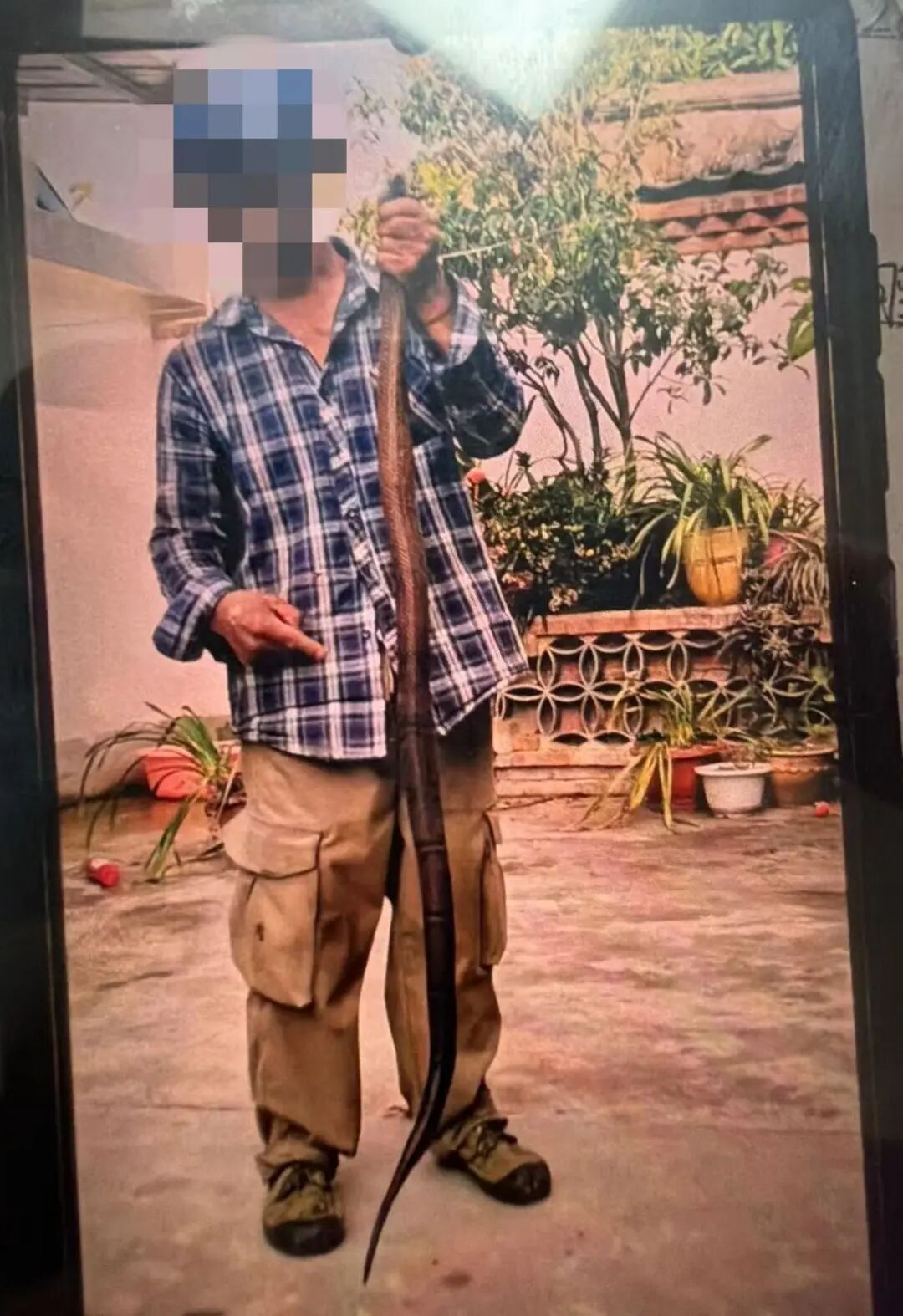 一男子徒手抓蛇，被咬一口后，还和蛇淡定合影，结果历经4次抢救，两度进ICU…
