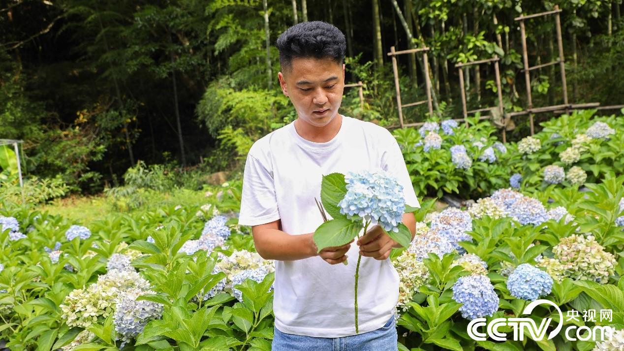彩票公益金的龙岩答卷：三条步道绘就老区新图景