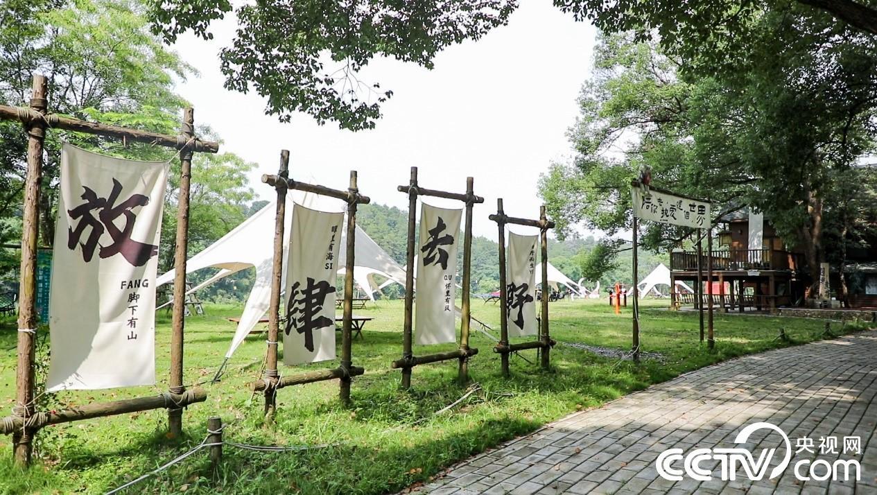 彩票公益金的龙岩答卷：三条步道绘就老区新图景