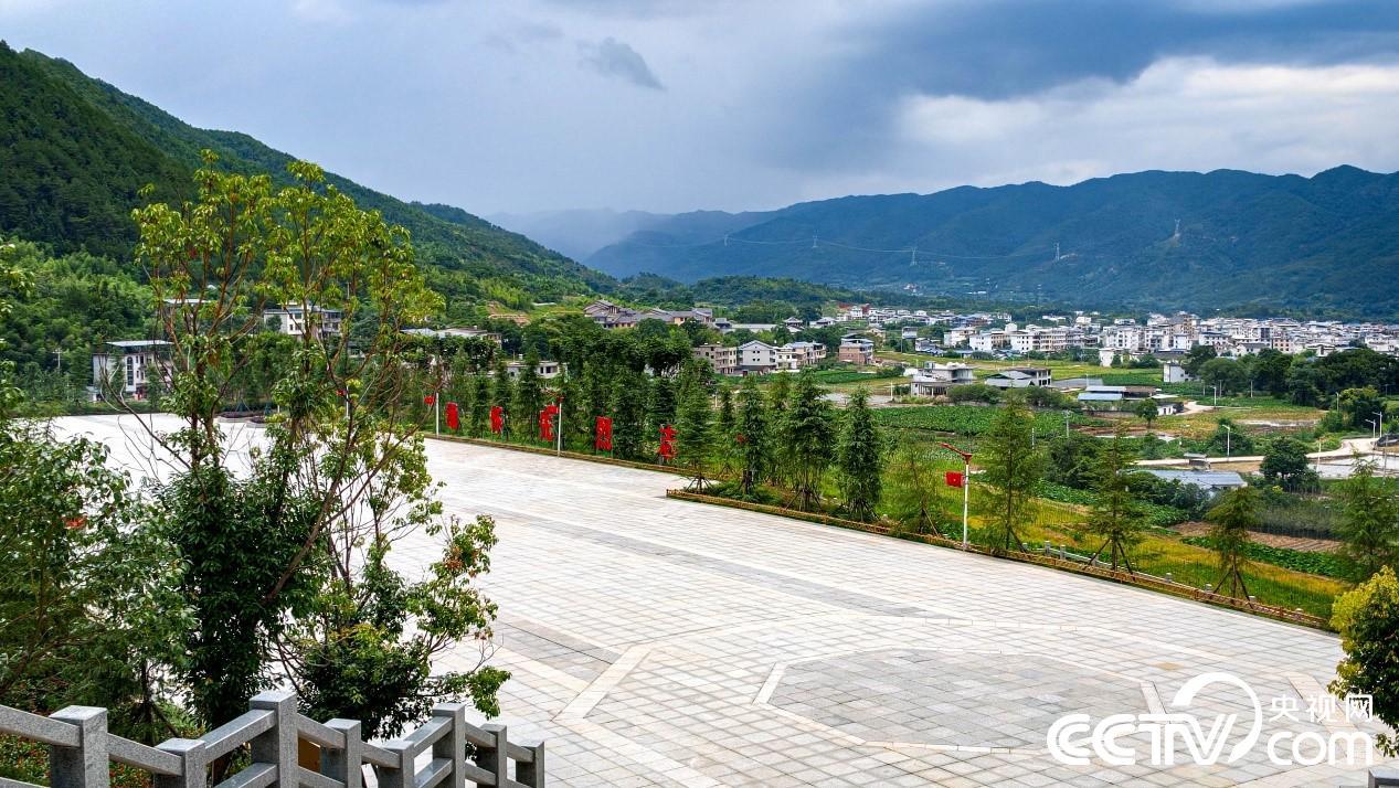 彩票公益金的龙岩答卷：三条步道绘就老区新图景