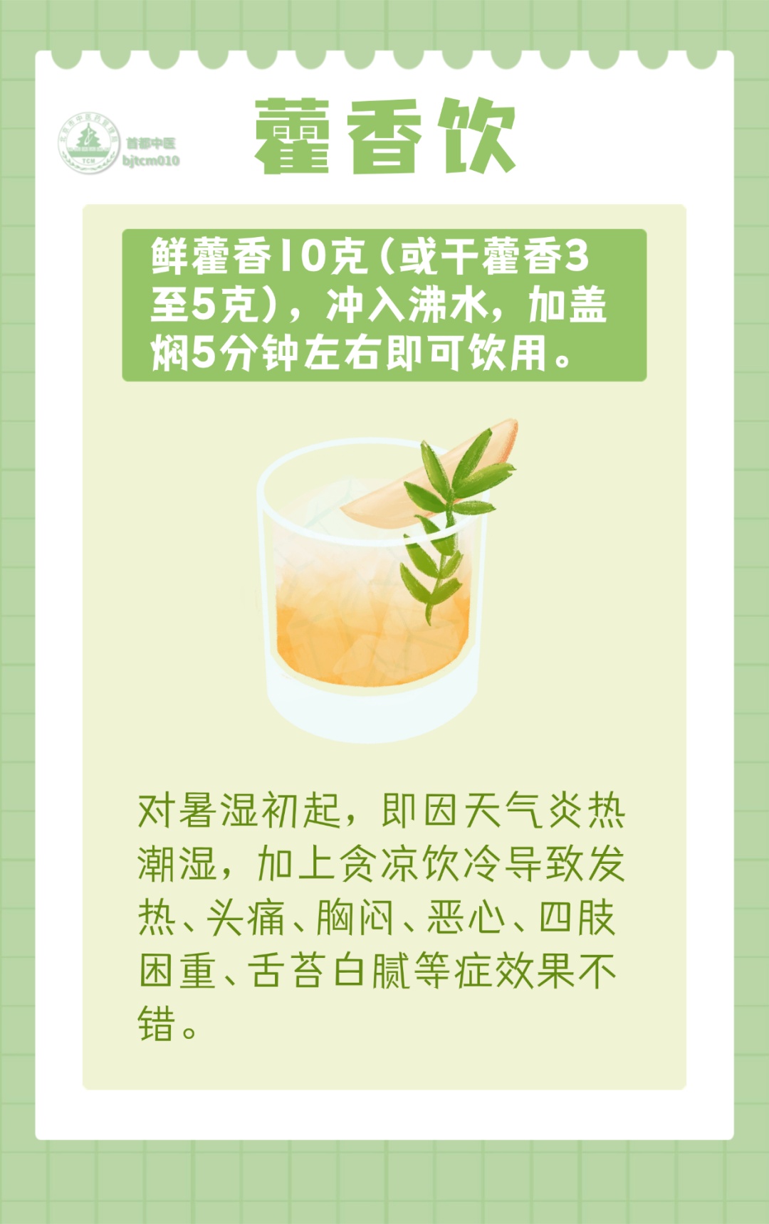 藿香不是只有生病时才用！夏天做饭加一点，缓解暑湿、改善消化，脾胃更舒服