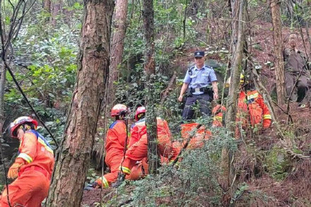雨水多山上菌子多？男子进山采菌不慎摔伤被困深山