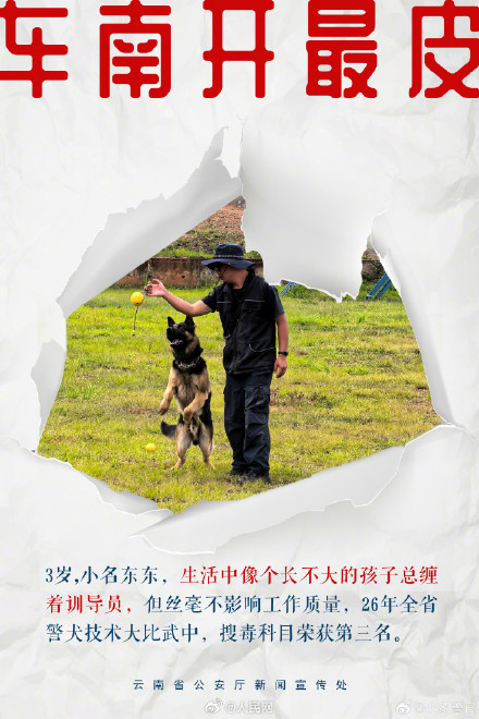 8只特色搜毒警犬集体亮相