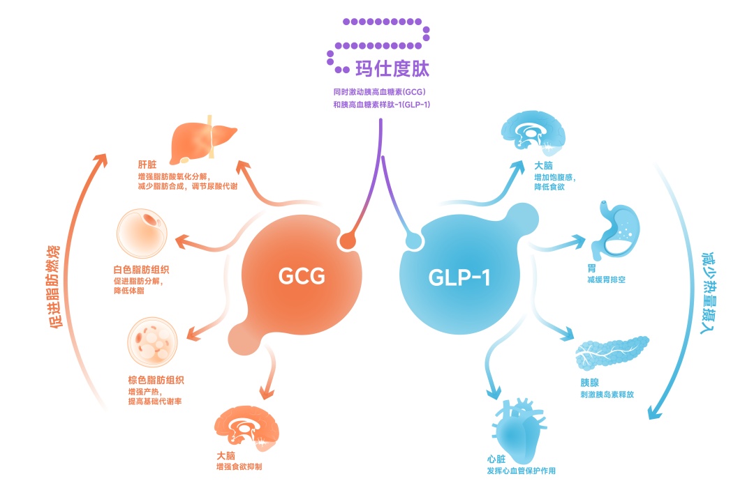 明星同款“减肥针”到底适合哪些人？专家：须同时满足三个标准