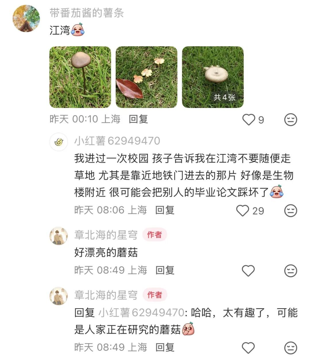 复旦大学校园内这一幕被人拍下近期正疯狂繁殖！