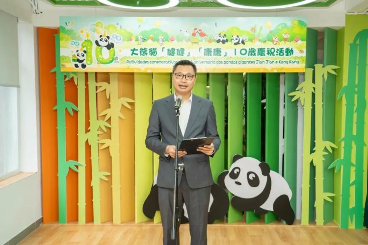 赠澳门大熊猫后代“健健”“康康”拟于10月抵蓉入住成都基地 &nbsp;澳门大熊猫馆同步优化扩建