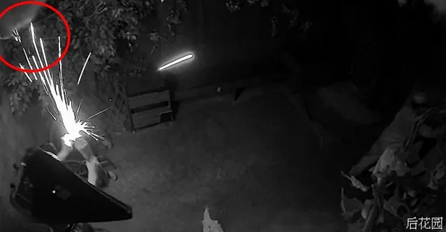 密室逃脱秒变火场逃生 两名责任人被行政拘留10日