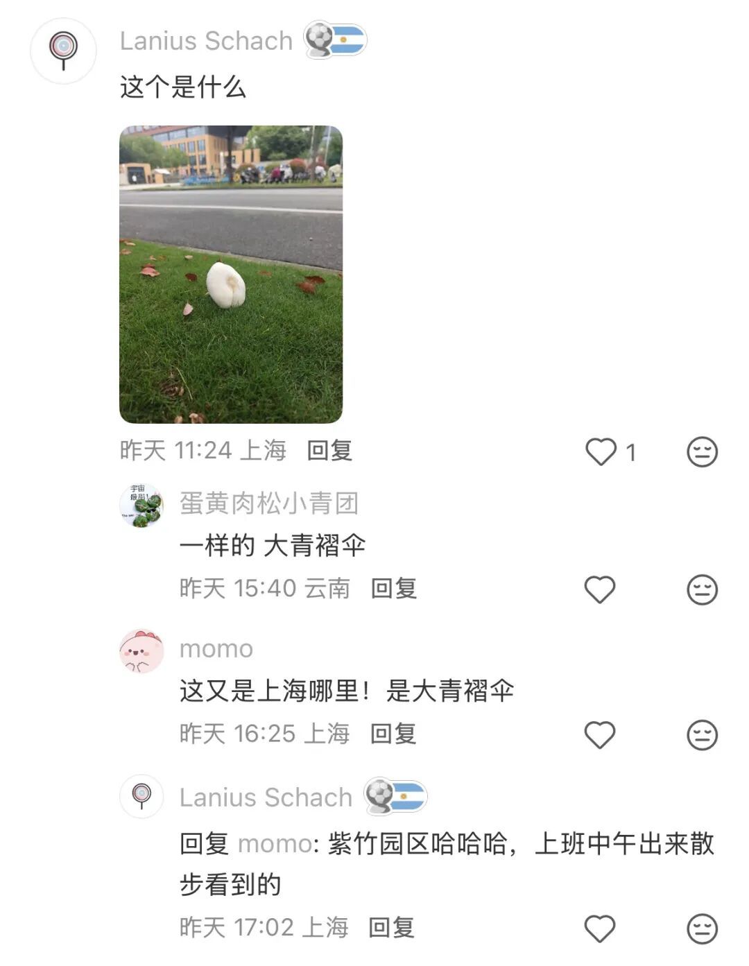 复旦大学校园内这一幕被人拍下近期正疯狂繁殖！