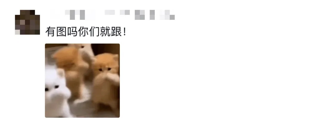“奶奶的麦穗终于丰收了！”这届毕业季，笑着笑着就哭了……