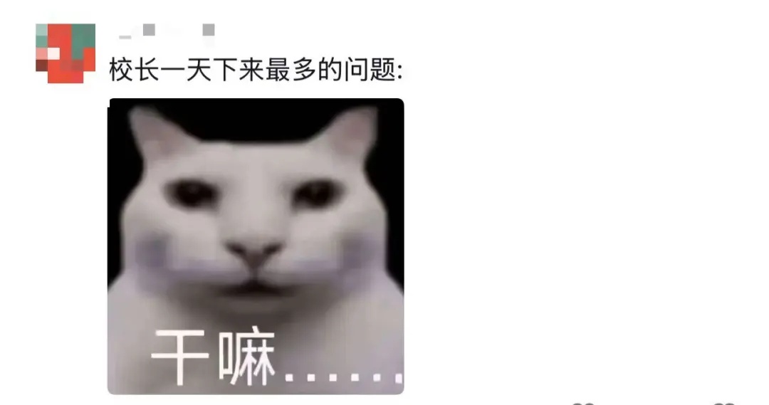 “奶奶的麦穗终于丰收了！”这届毕业季，笑着笑着就哭了……