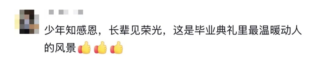 “奶奶的麦穗终于丰收了！”这届毕业季，笑着笑着就哭了……