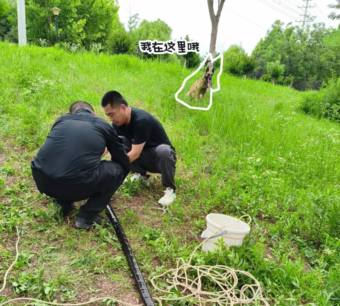 “汪汪队”出击！警犬助力抓获2名盗窃嫌疑人！