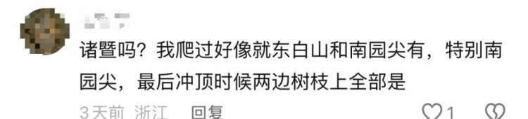 “当时毫无察觉，血渗了7个多小时！”女子去山里徒步，下山时发现腿上一大片血迹！