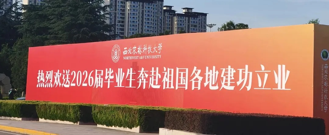 “奶奶的麦穗终于丰收了！”这届毕业季，笑着笑着就哭了……