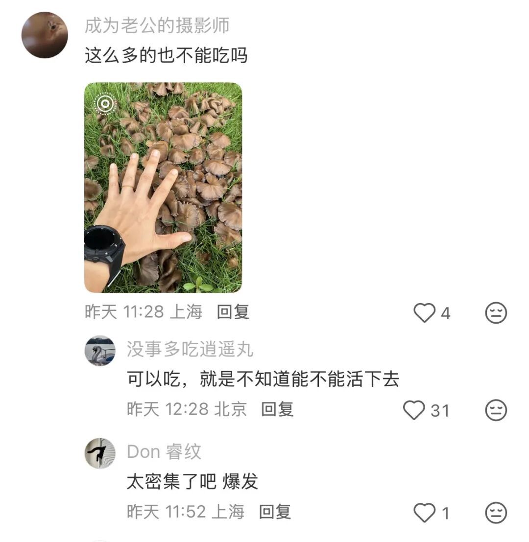复旦大学校园内这一幕被人拍下近期正疯狂繁殖！