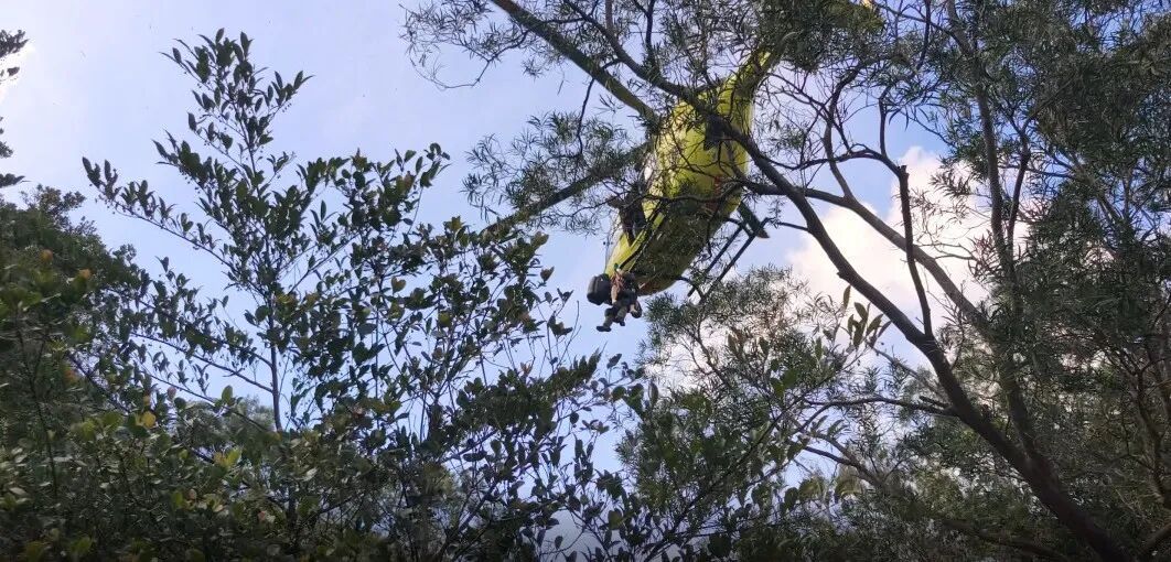 女子登山昏迷被紧急送上直升机！这种病死亡率超50%，千万要注意→