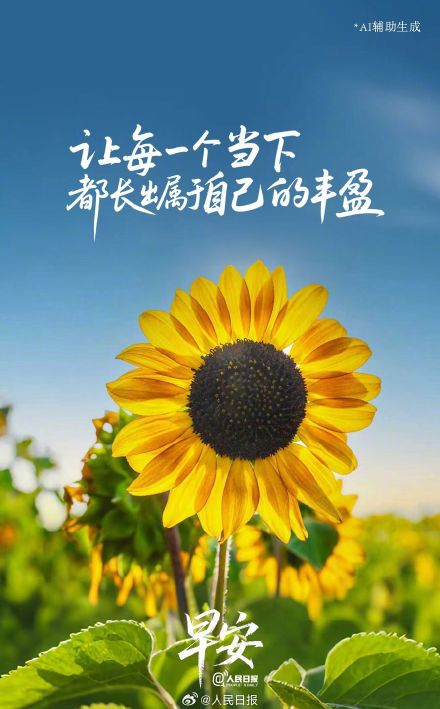懂得留白也是一种丰盈