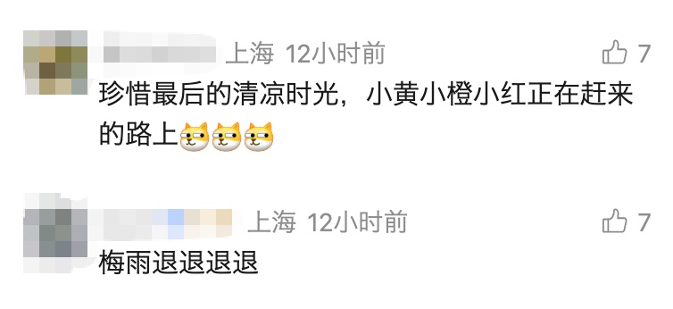 上海人今天抓紧！下周7天黄梅雨又续上了……网友吐槽：好好享受高温前的清凉