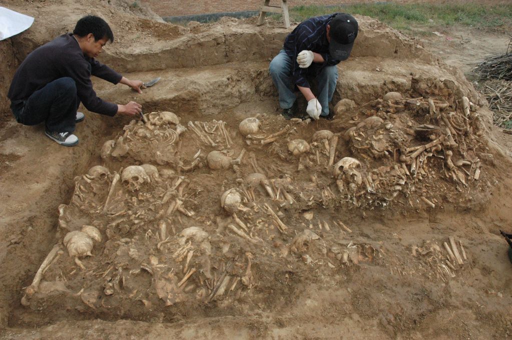 新研究：仰韶先民基因在黄河中游连续遗传6200年