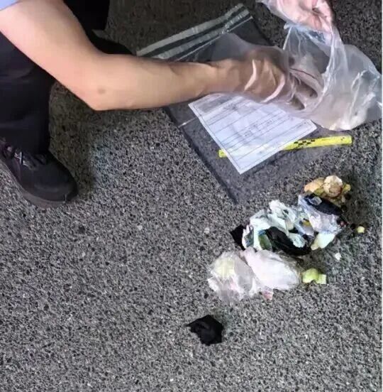 别再随手一扔！有人高空丢垃圾被处罚