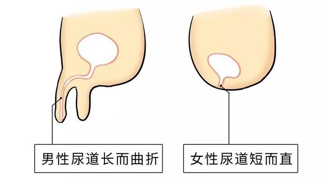 黑白颠倒，熬夜看球！这件事千万别做→