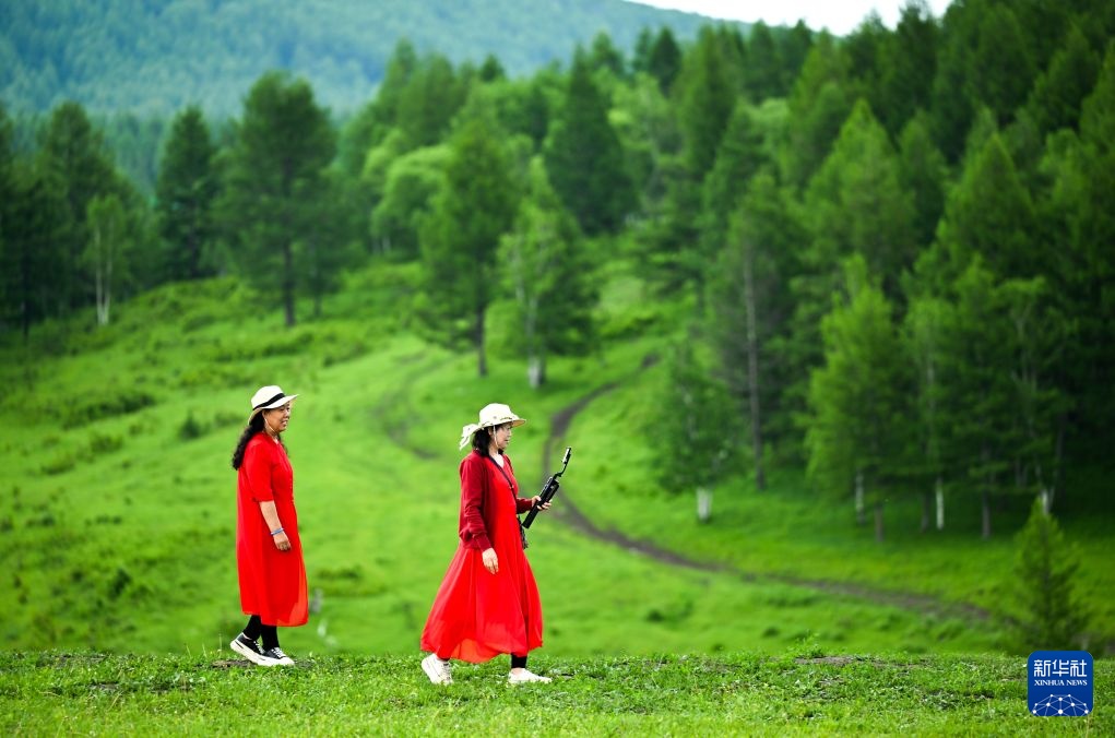 美丽中国丨阿尔山国家森林公园夏日即景