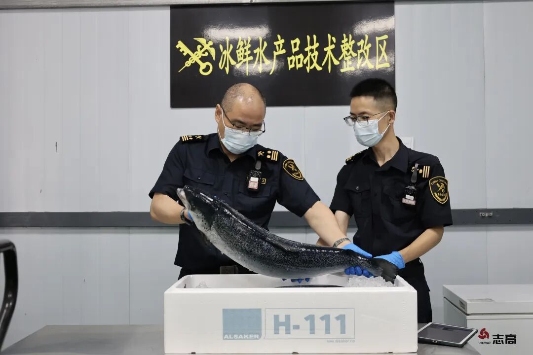 南京，再添一条新航线！