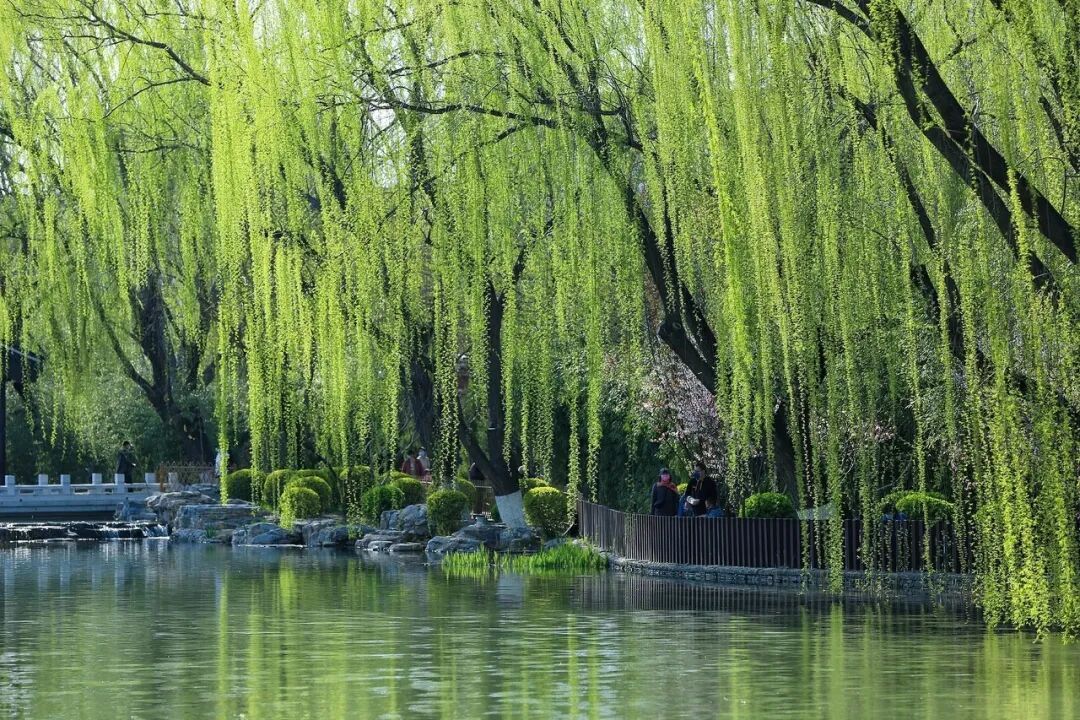 没有朋友圈的古人，怎么和同窗说再见