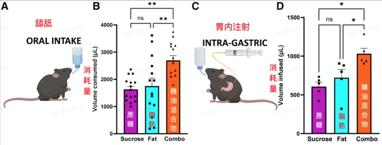比喝油还胖人！这种让人上瘾的食物要少吃