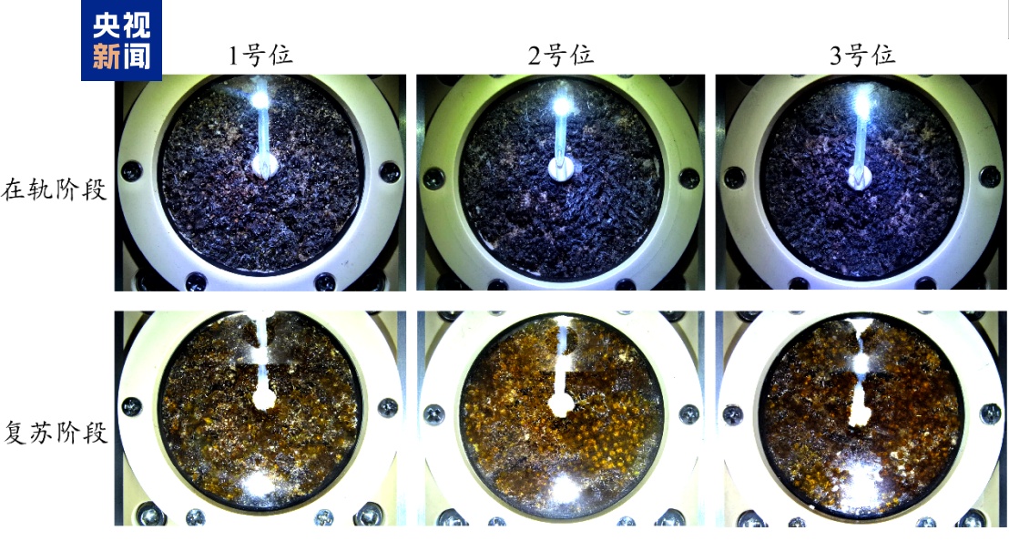 覆盖太空医疗等领域 轻舟试验飞船第二批在轨试验成果发布