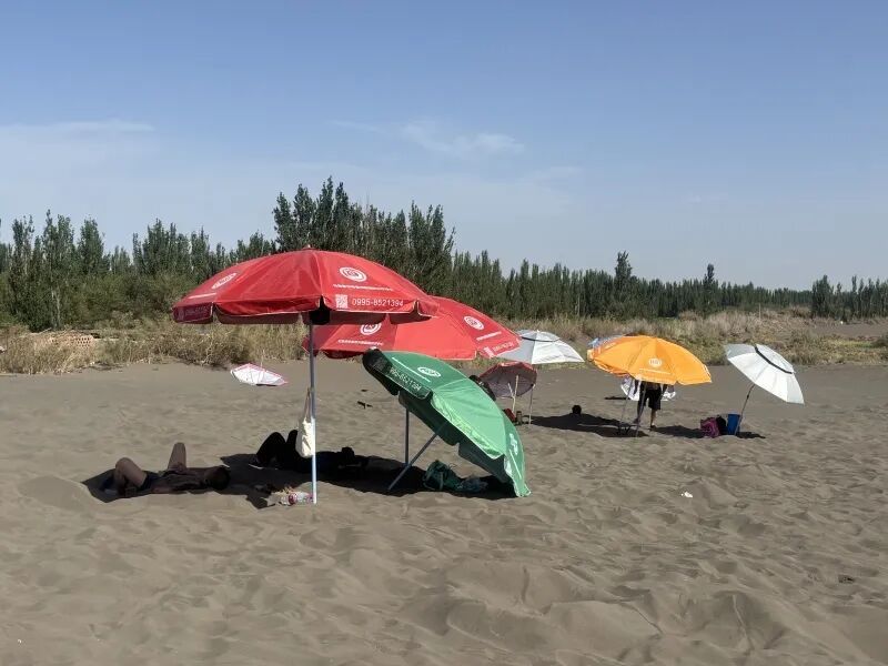 吐鲁番最高温预计达49℃！“埋沙子”的时候到了……