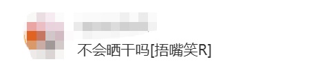 上海马路中央首次“入住”荷花！网友感叹：太卷了，你让别的城市怎么办……