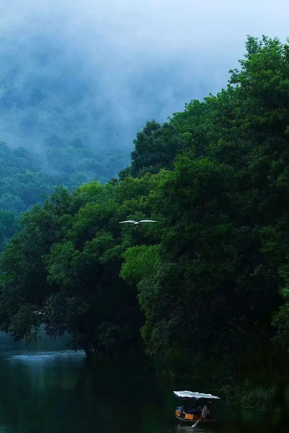 确认：9级！阵雨雷雨大暴雨，马上杀到杭州；今晚记得关窗！关窗！