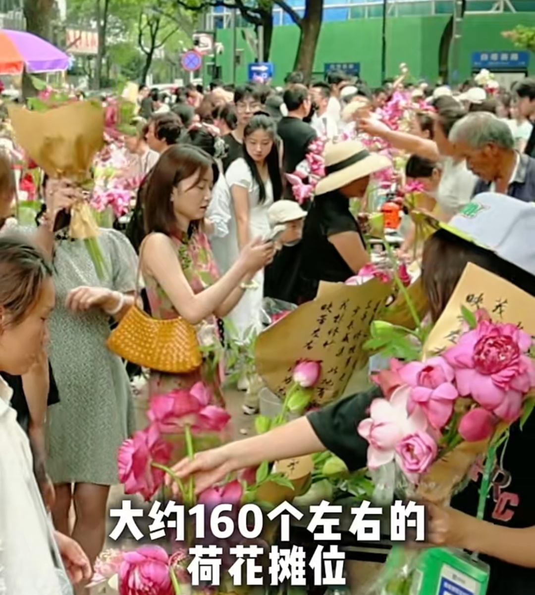 上海马路中央首次“入住”荷花！网友感叹：太卷了，你让别的城市怎么办……