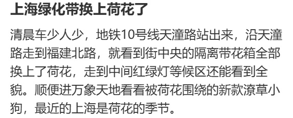 上海马路中央首次“入住”荷花！网友感叹：太卷了，你让别的城市怎么办……