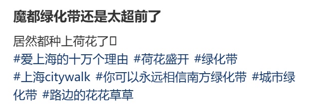 上海马路中央首次“入住”荷花！网友感叹：太卷了，你让别的城市怎么办……