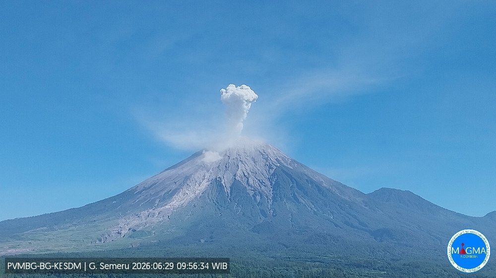 印尼塞梅鲁火山喷发 灰柱高度约700米