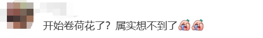 上海马路中央首次“入住”荷花！网友感叹：太卷了，你让别的城市怎么办……