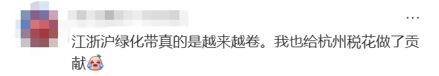 上海马路中央首次“入住”荷花！网友感叹：太卷了，你让别的城市怎么办……