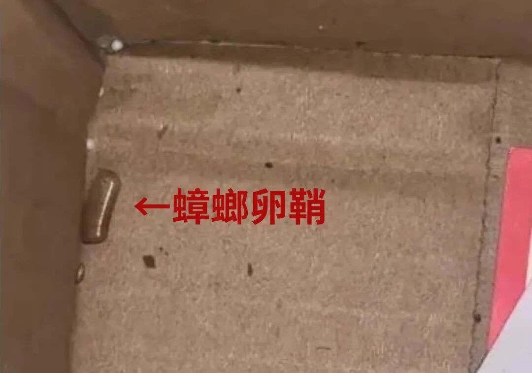 别存，快处理掉！甲醛超标、滋生蟑螂！几乎每家都有→